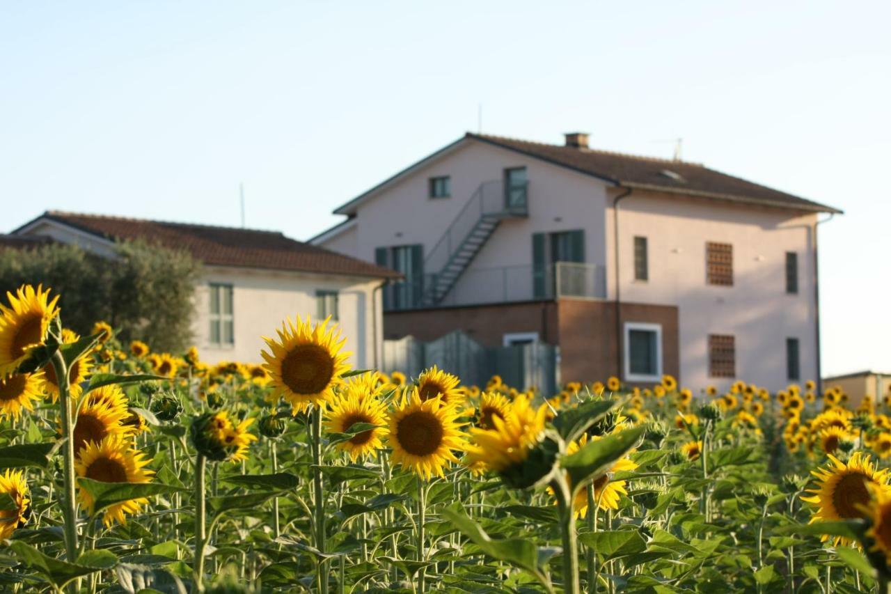 La Collina Del Girasole Villa Montecastrilli Екстериор снимка
