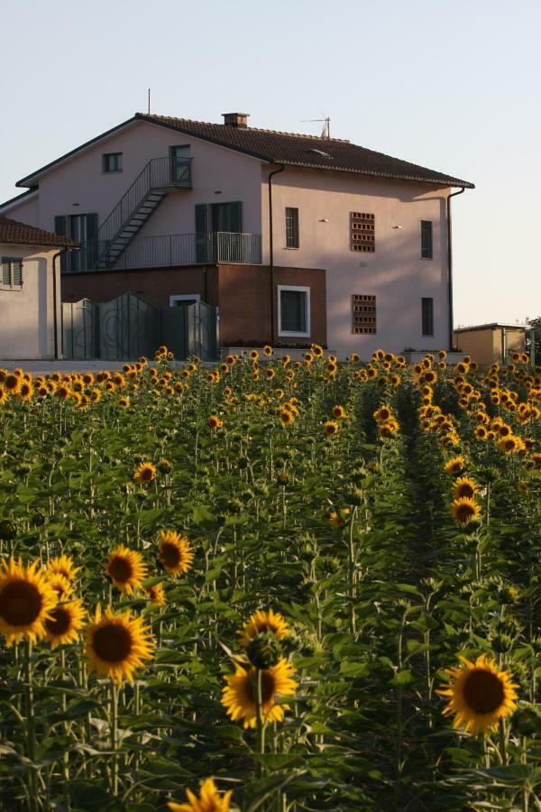 La Collina Del Girasole Villa Montecastrilli Екстериор снимка